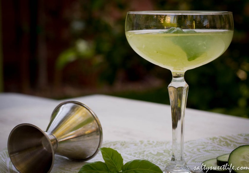 cucumberbasilmartini-2