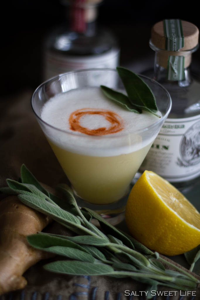 The Apollo - A Gin Cocktail made with St. George Terroir Gin - Salty Sweet Life