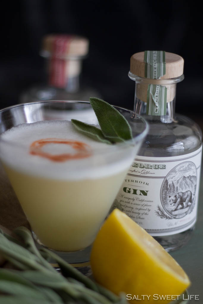 The Apollo - A Gin Cocktail made with St. George Terroir Gin - Salty Sweet Life