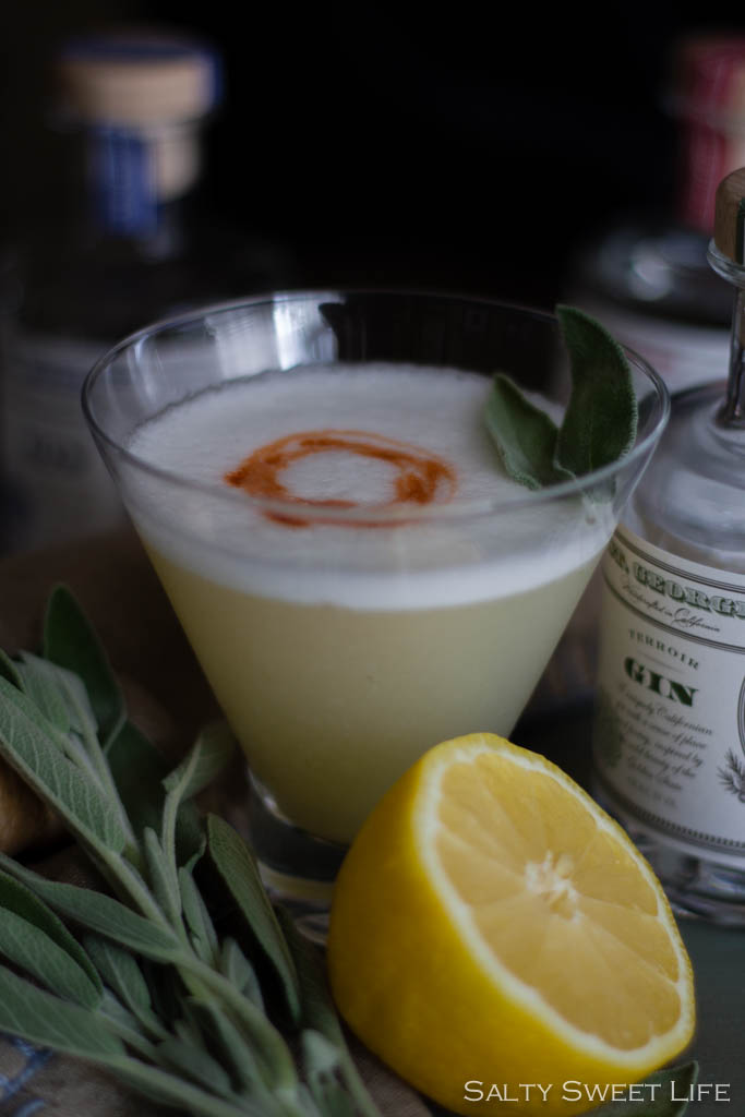 The Apollo - A Gin Cocktail made with St. George Terroir Gin - Salty Sweet Life