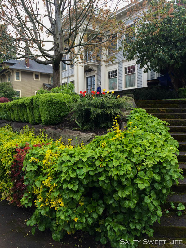 No joke, this is where I caught the bus. Too gorgeous for words!